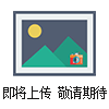 膜片式壓力表